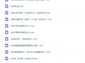 一小时脱单 内部vip课程