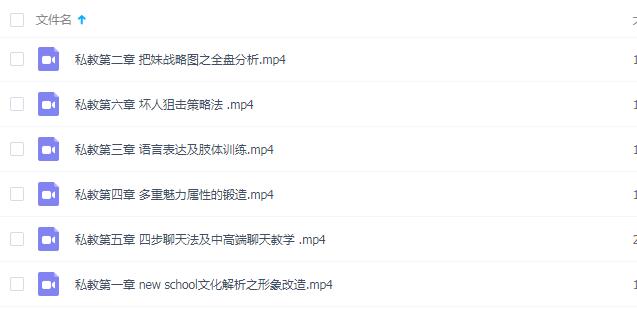 顽心私教课程 6节完整版
