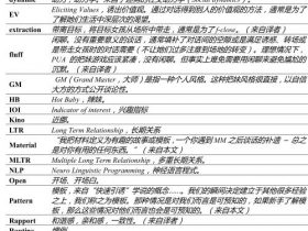 恋爱书籍：《杂耍人方法》PDF