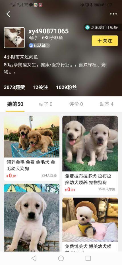 闲鱼被动引流玩法,小白轻松日引100+精准粉
