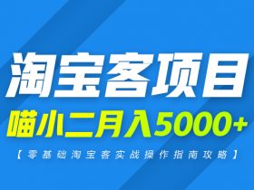 淘宝客怎么做？如何使用喵小二APP做到月入5000+