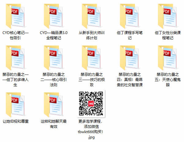 但丁团队10套课程全集 但丁VIP教程12G合集下载
