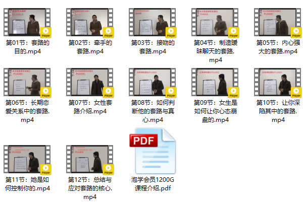 但丁团队10套课程全集 但丁VIP教程12G合集下载