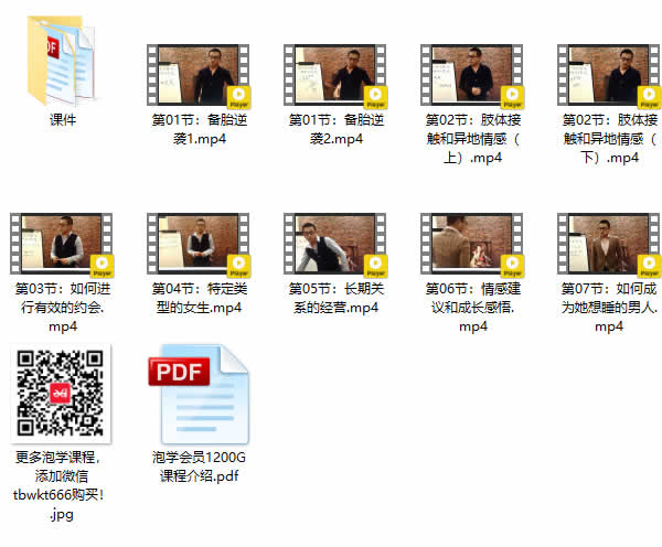 但丁团队10套课程全集 但丁VIP教程12G合集下载