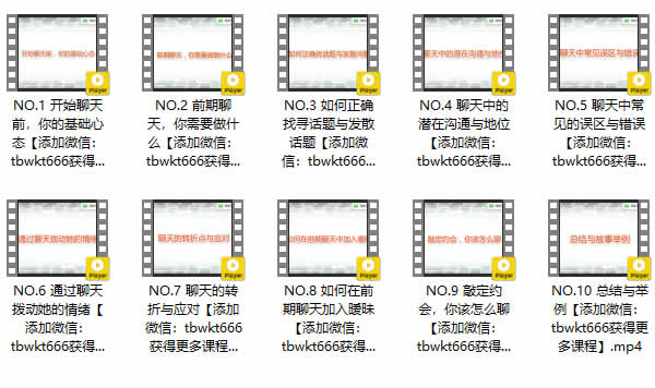 但丁团队10套课程全集 但丁VIP教程12G合集下载