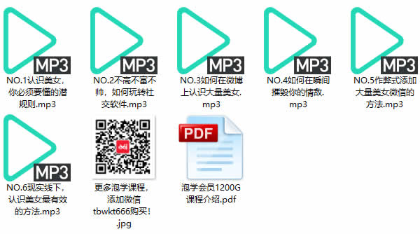 但丁团队10套课程全集