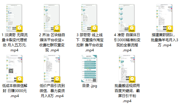 财神大咖《24期项目大赛》教程完整版