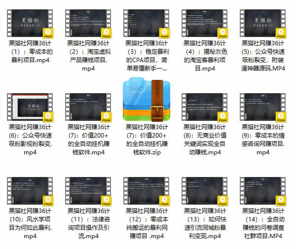 副业教程《黑猫社网赚课程》