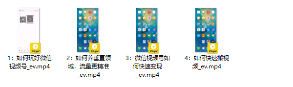 短视频运营《微信视频号运营变现,零成本日赚1000+》视频教程