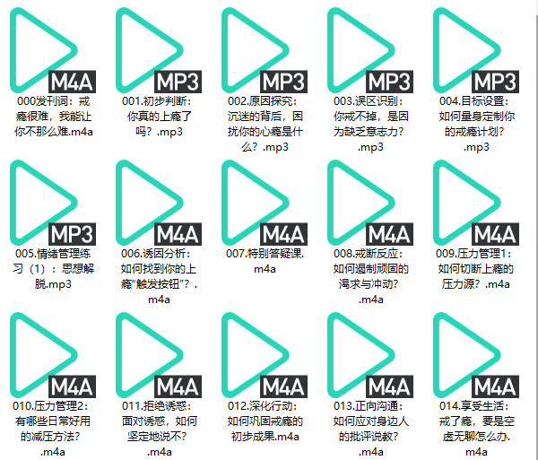 个人提升《25天过上自律人生》音频教程