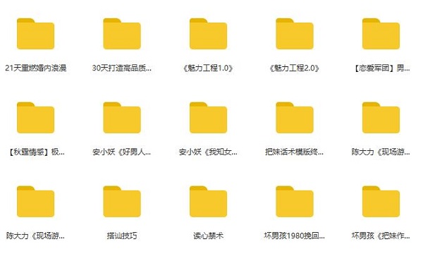 小鹿情感坏男孩魅力工程VIP课程全系列