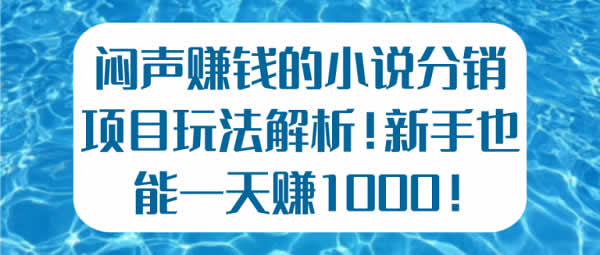新手副业教程《暴利小说分销玩法解析 日入1000+》视频教程