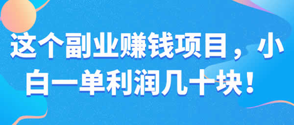 副业项目《源码变现赚钱，零基础小白一单几十利润》