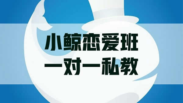 小鲸恋爱班《一对一私教》视频教程