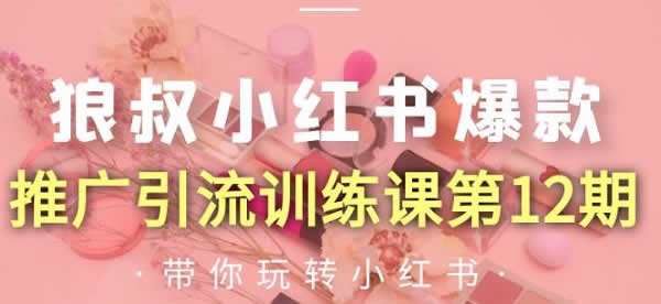 自媒体副业《小红书爆款推广引流训练课第12期，手把手带你玩转小红书》