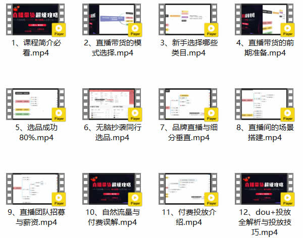抖音副业《直播带货全攻略,抖音直播详细玩法》视频教程