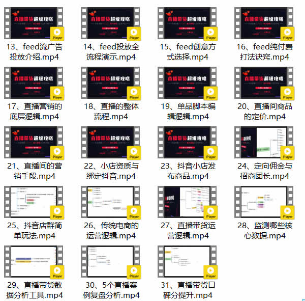 抖音副业《直播带货全攻略,抖音直播详细玩法》视频教程