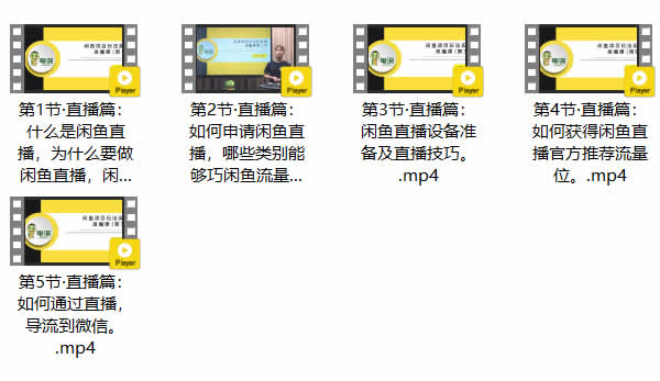 电商副业《咸鱼无货源项目,教你从0到月入20万+》视频教程