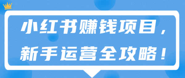 自媒体项目《小红书赚钱项目，新手运营全攻略》