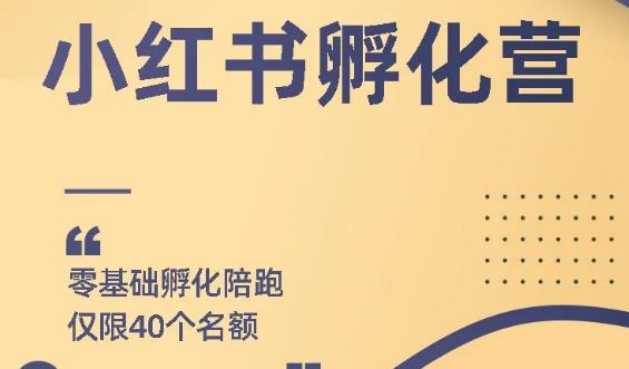 自媒体项目《小红书撸金项目,教你每月躺赚3000+》视频教程
