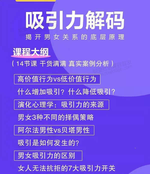 走向阿尔法《吸引力解码》视频教程