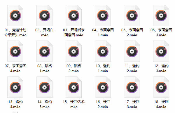 瑞恩《竞速聊x PLUS》视频教程