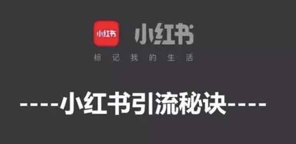 零基础月入5万,小红书引流项目实操!