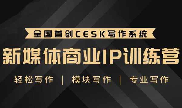 自媒体《新媒体商业IP训练营》视频教程