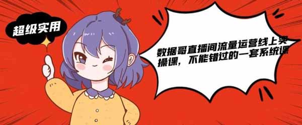 视频直播副业《直播间流量运营线上实操课,不能错过的一套系统课》视频课程