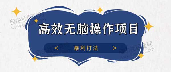 副业项目《高效无脑操作项目 暴利打法》视频教程