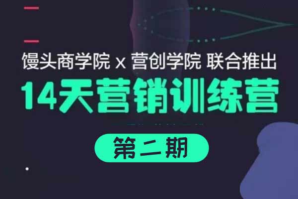 自媒体副业《馒头商学院14天营销课第二期》视频教程