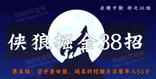 副业项目《空手套白狼,域名的挖掘与出售年入50万》视频教程