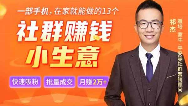 副业项目《13个低成本社群赚钱小生意》视频教程