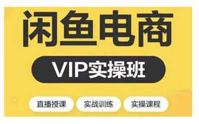 电商副业《闲鱼电商VIP实操班 月入10000+闲鱼副业》视频教程