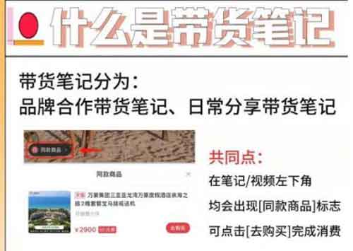 副业带货:小红书怎么带货赚钱?