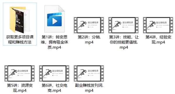 副业教程《副业赚钱课》视频教程