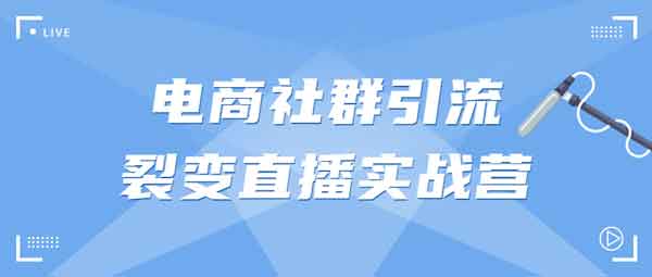 电商运营《电商社群引流裂变直播实战营》视频教程