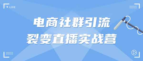 电商运营《电商社群引流裂变直播实战营》