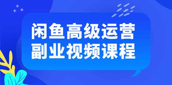 电商运营《闲鱼高级运营副业》