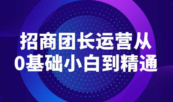 新媒体副业《招商团长运营从0基础小白到精通》