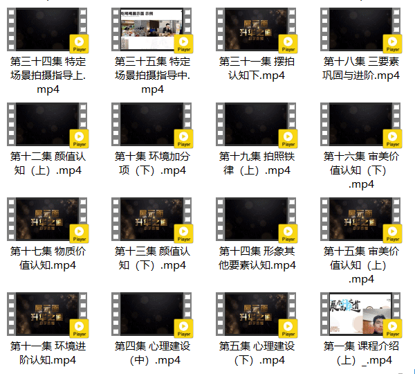 某浪《展示面升华之道》视频教程
