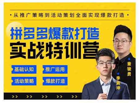 电商运营《拼多多爆款打造实战特训营》视频教程