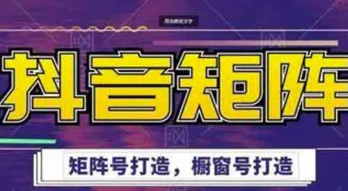 抖音副业《抖音带货矩阵项目》视频教程