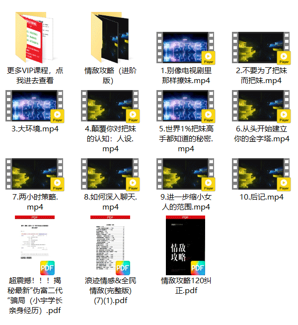 恋爱教程《情敌攻略视频课+进阶版》