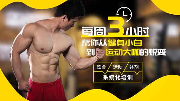 自我提升《扔掉无效健身!每周3小时,拥有完美身材》视频教程