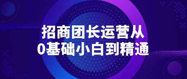 副业提升《招商团长运营宝典,从0基础小白到精通》视频教程