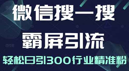 自媒体《微信搜一搜霸屏引流课》视频教程