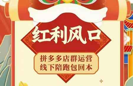 电商副业《拼多多无货源店群玩法:从0~1实战保姆教程》视频教程