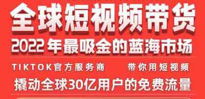 短视频《TikTok海外短视频带货训练营》视频教程