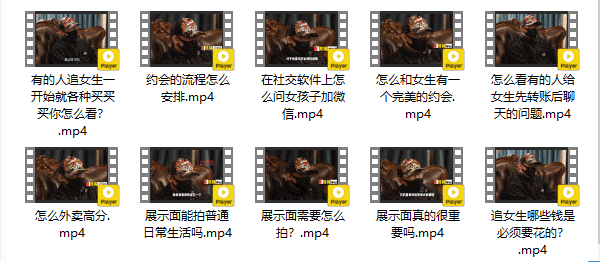 绅士派《熊猫内部课》视频教程